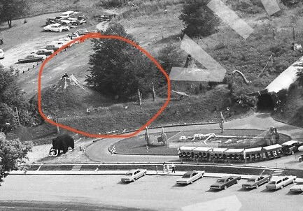 Prehistoric Forest - Old Aerial Of Volcano